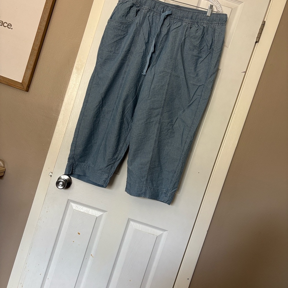 Lane Bryant Light Blue Cropped Pants